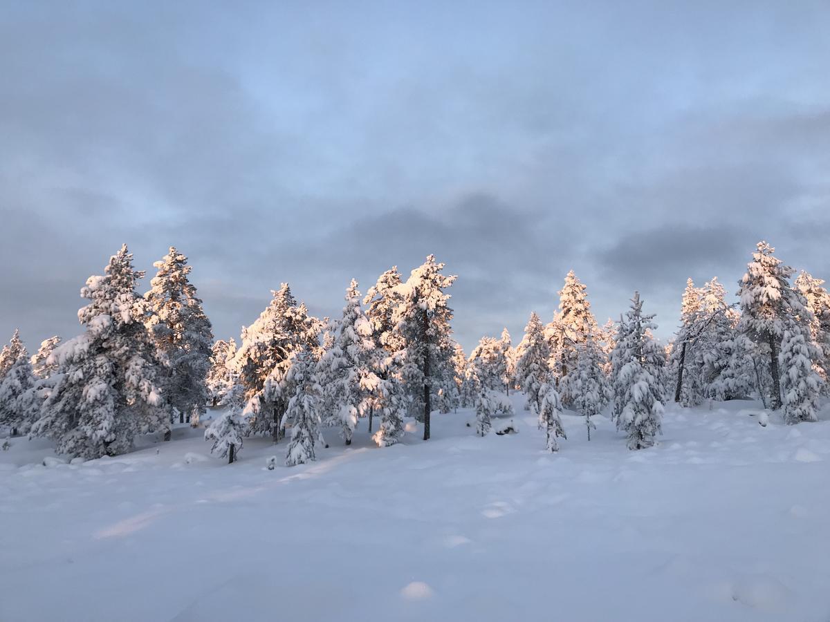 Sampo Studios Rovaniemi Zewnętrze zdjęcie