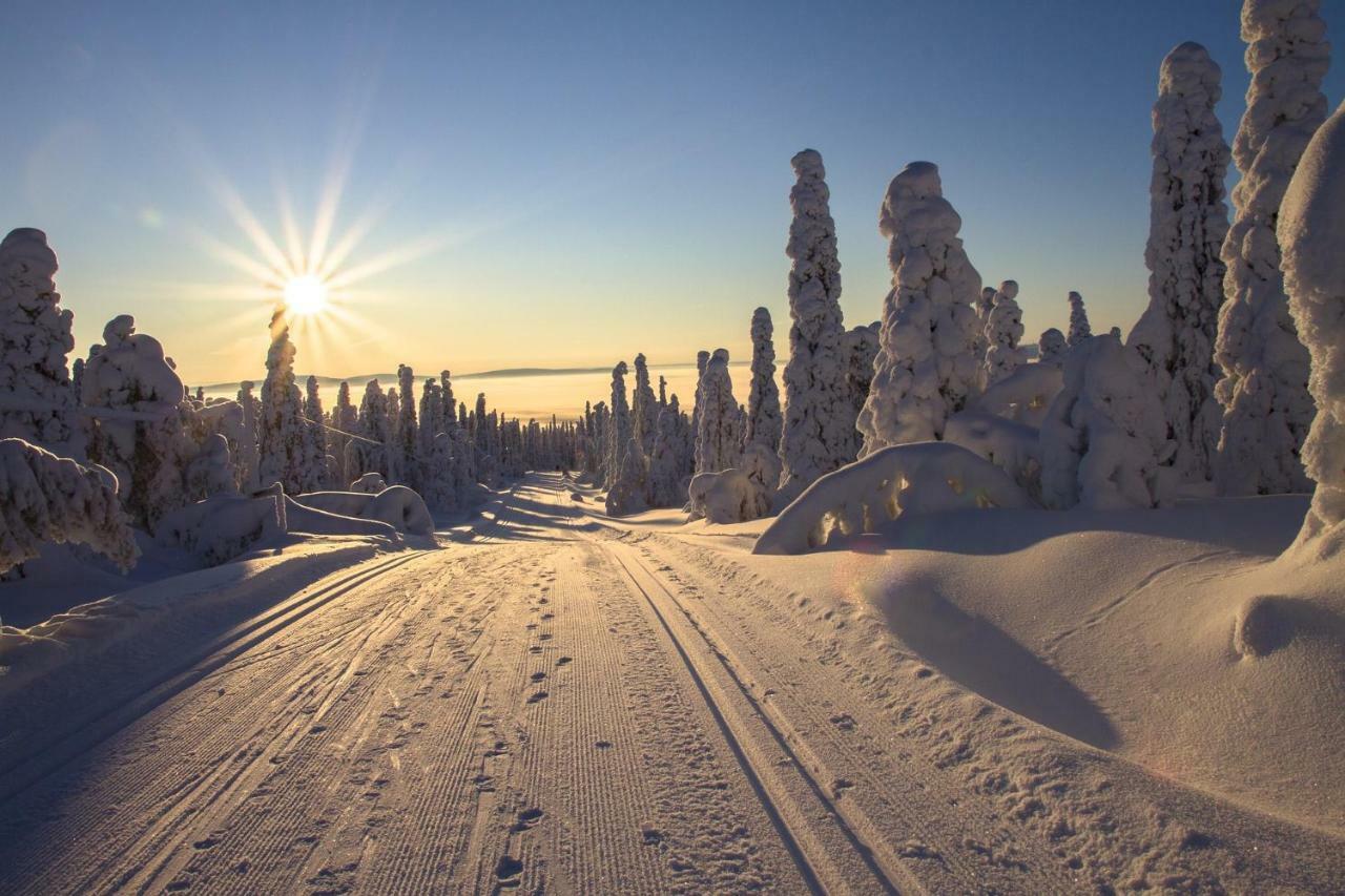 Sampo Studios Rovaniemi Zewnętrze zdjęcie